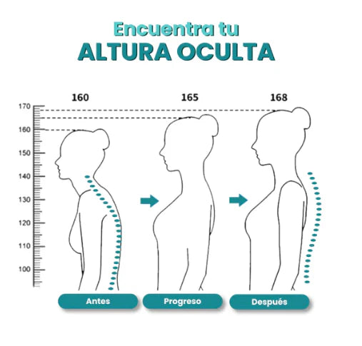 PosturaX™ Corrector de Postura